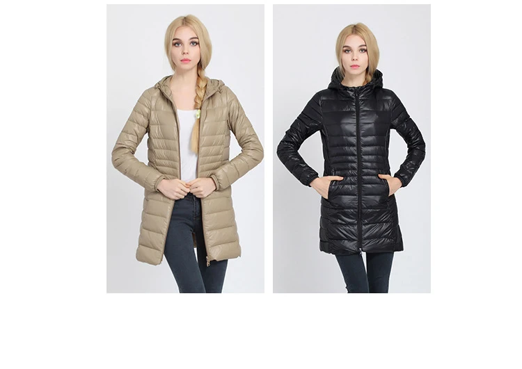 5337947773_174625416