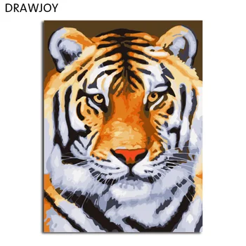 

DRAWJOY Framed Picture Painting & Calligraphy Of Loely Animals DIY Painting By Numbers Coloring By Numbers Home Decor
