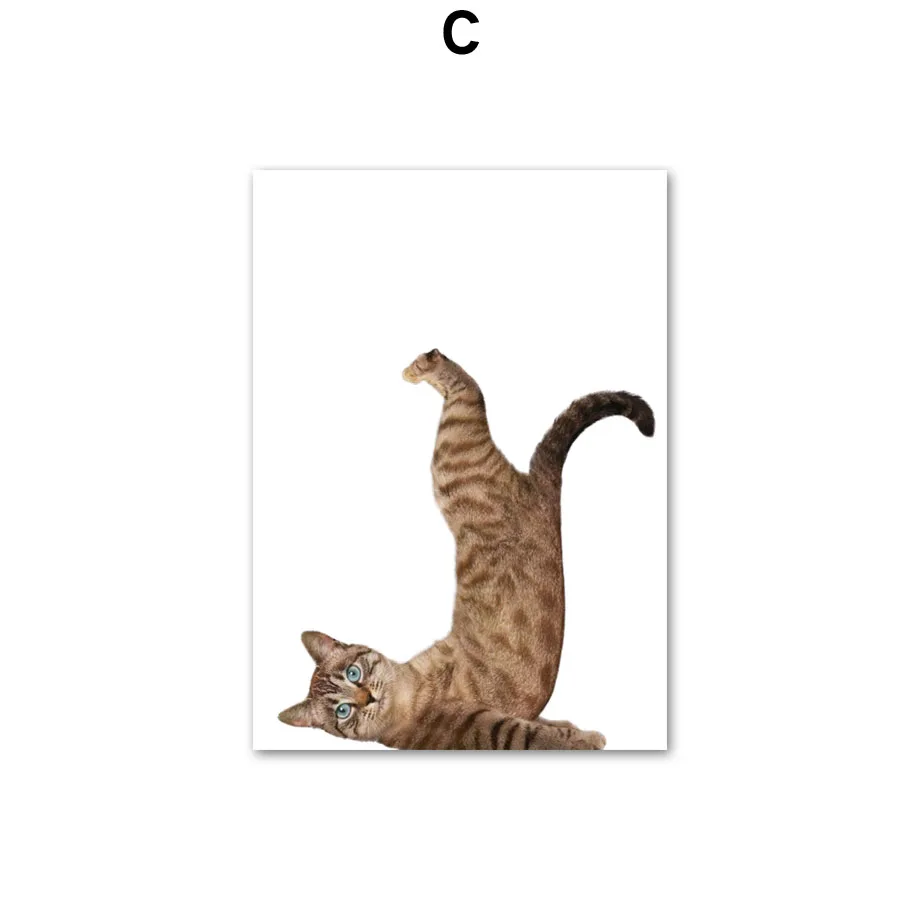 Wall-Art-Canvas-Painting-Funny-Cat-Gymnastics-Kitty-Nordic-Posters-And-Prints-Wall-Pictures-For-Living (6)