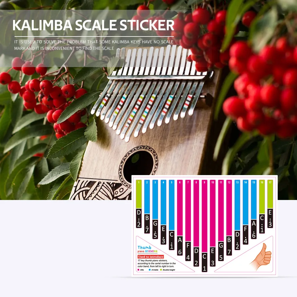 Kalimba Thumb Piano Note Stickers For Beginner My Digital Piano Review