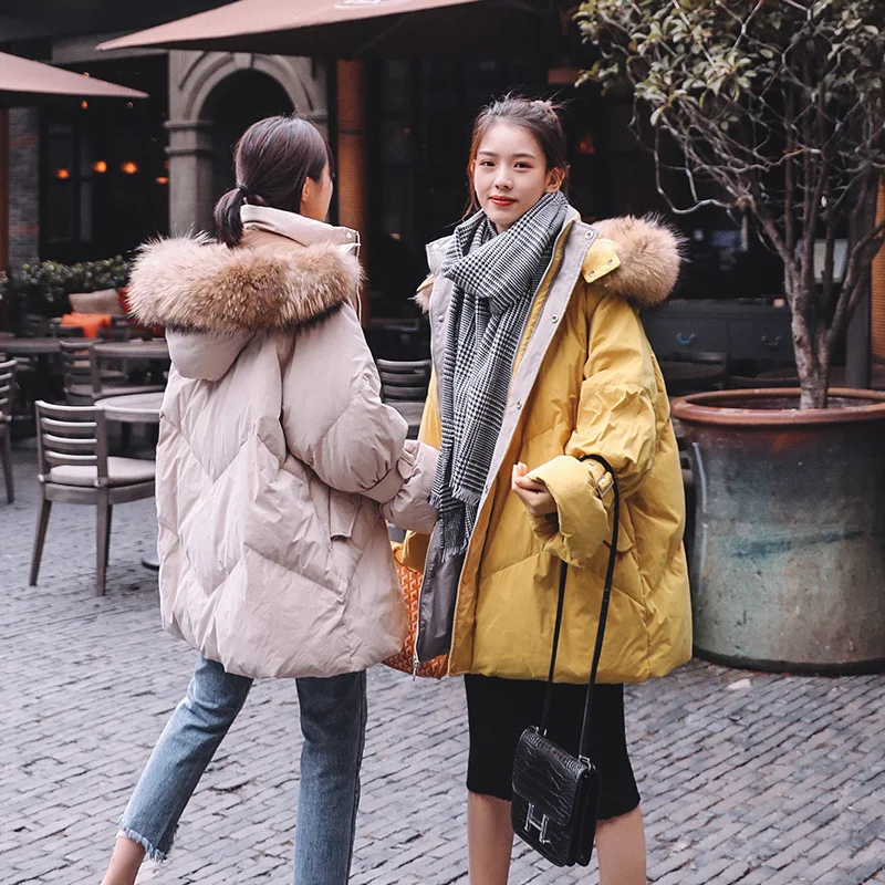 

Photo Shoot 2019 Winter New Style Korean-style Thick Short Cotton-padded Clothes College Style Bread down Jacket Cotton-padded C