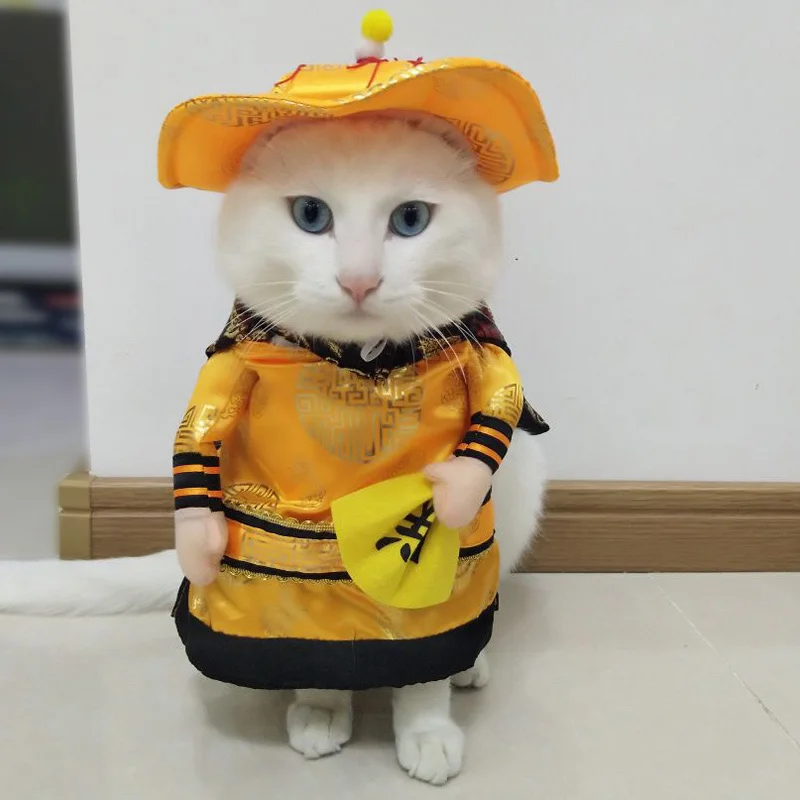 颜色13皇帝变身装