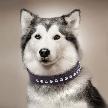 

Correas Para Perro Collar Dog Collares Perros Collar De Beagle Hundehalsband Puppy Dieren Benodigheden Hond Pet Accessories For