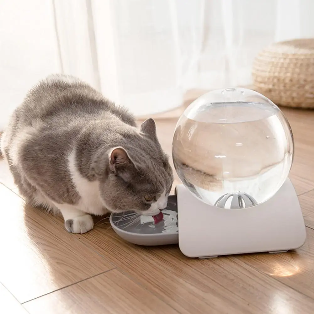 

2.8l Pets Dog Automatic Water Feeder Bubble Water Fountain Dispenser Feeder Drinking Bowl transparent