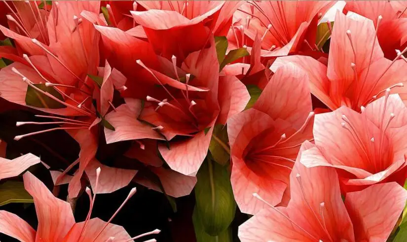 QQ截图20201021131433