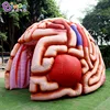Customized 5.1x4.5x3.6 Meters Inflatable Brain Tunnel Tent For Education / Blow Up Inflated Brain Balloon - BG-H0040 1