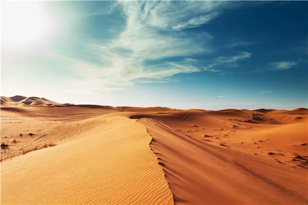 SHENGYONGBAO Vinyl Custom Photography Backdrops Props Desert theme Photo Studio Background S20033-11