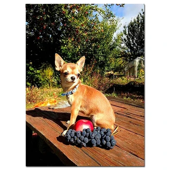 

Full square round diamond embroidery puppies chihuahua,5d diy diamond painting grapes mosaic picture of rhinestones JS5119