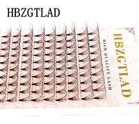 New 6D/8D/10D Russian Volume fake Eyelashes Extension Shotr Stem Pre-made Fans C/D/DD Mink falsh Eyelashes Individual Extensions 2
