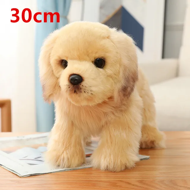 Retriever/Poodle/Pug/Bullfight/Corgi Plush Simulation Dog Stuffed Animal Toys Golden Stuffed Simulation Puppy Quality Home Decor