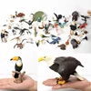 New Hand-Painted-Model-Toy Figurine Simulated Swan Science Birds Educational-Toys Eagle Owl-Pelican 1zWzLGJ3D