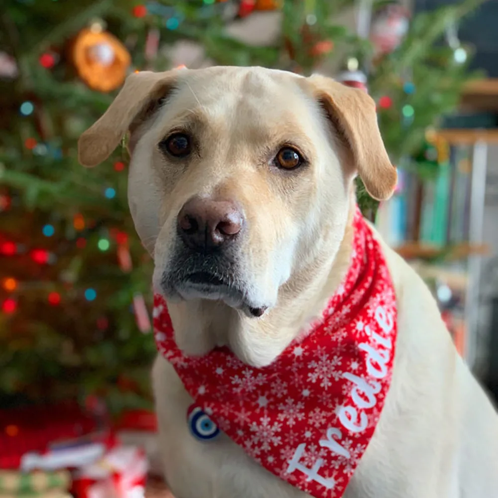 

personalized Dog bandana Christmas gift holiday snowflakes red name custom pet puppy Christmas picture scarf bib festive snow