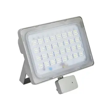 

6th Generation Motion Light 100W Cool White Led Light Outdoor Tuinverlichting
