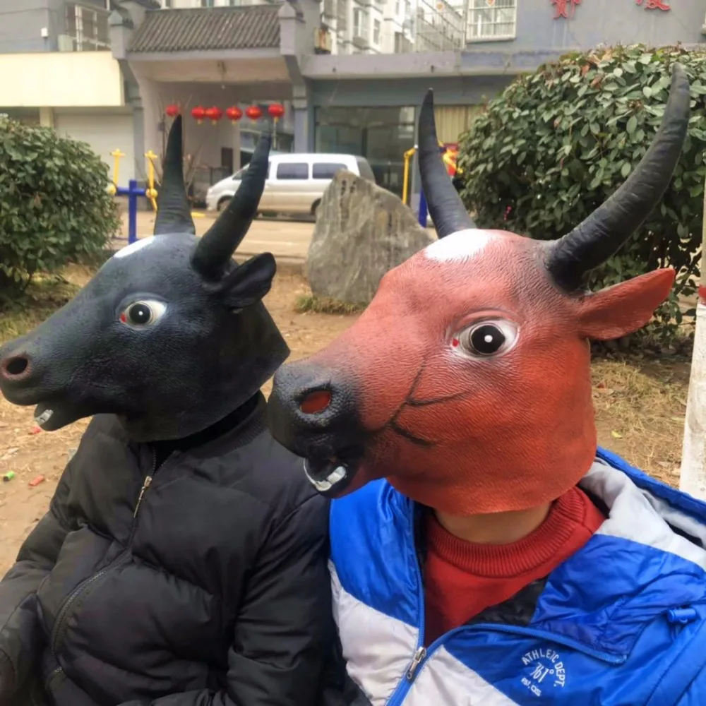 10423301769_1290734885