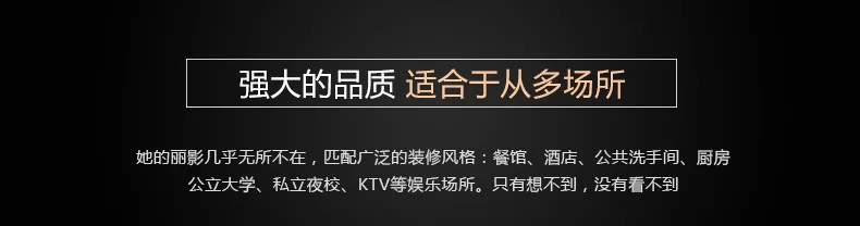 Shengruijia Бытовая ванная комната пластиковый контейнер для мыла Отель Нержавеющая сталь Sannitizer замена бутылки гель для душа мыло Lye Bo