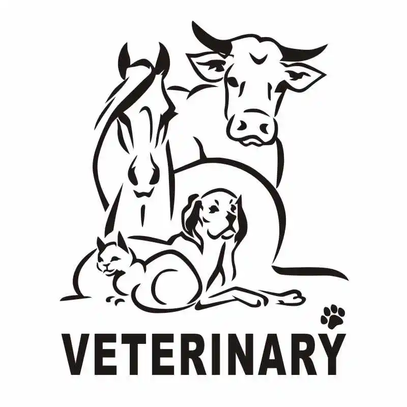DCTAL Dog Cat VETERINARY Pet Shop Sticker Decal Posters Vinyl Wall Art Decals Parede Decor Mural Pet Shop Sticker