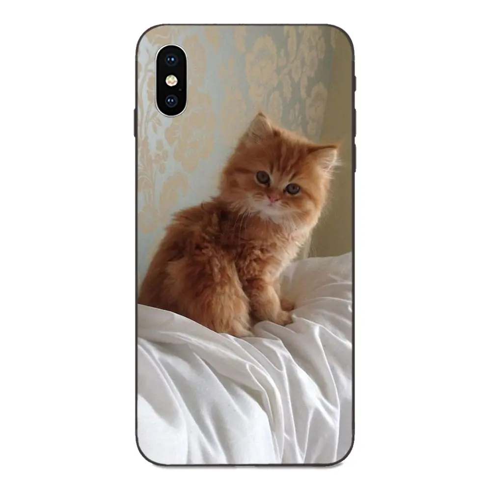 as picture Для Xiaomi Redmi Note 3 3S 4 4A 4X5 5A 6 6A 7 7A K20 Plus Pro S2 Y2 Y3 ТПУ чехол с рисунком маленького котенка Милая кошка - Цвет: as picture