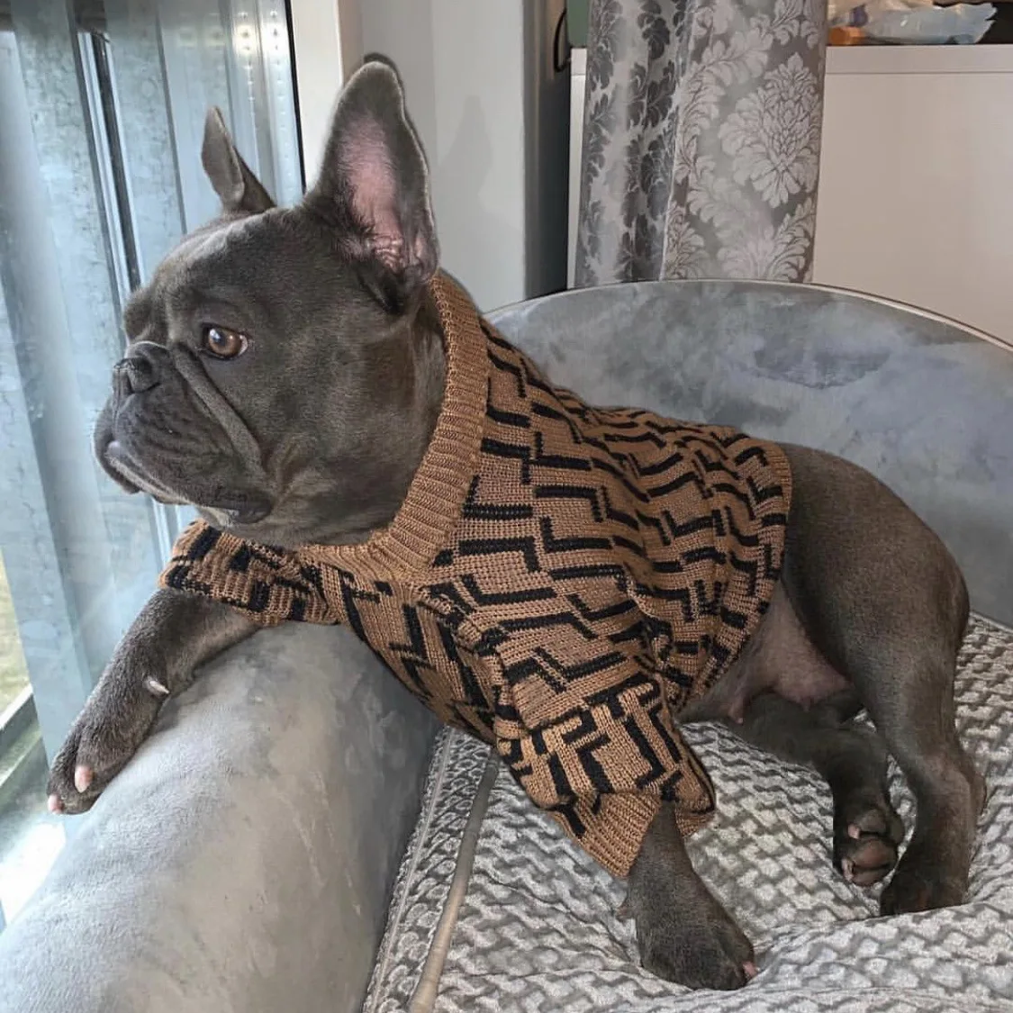 

Chaopai autumn and winter clothes for big and small dogs casual Brown letter sweater method to fight bully warm