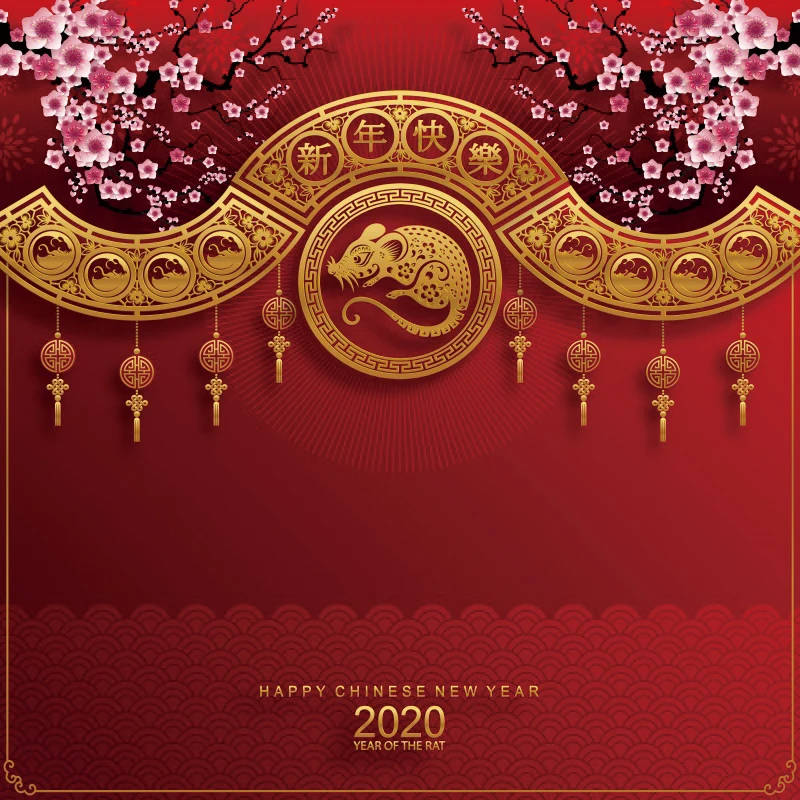 Laeacco счастливый год фоны для фотосъемки китайские весенние фестивали крысы вечерние Декор баннер фото фон - Цвет: NBK28257