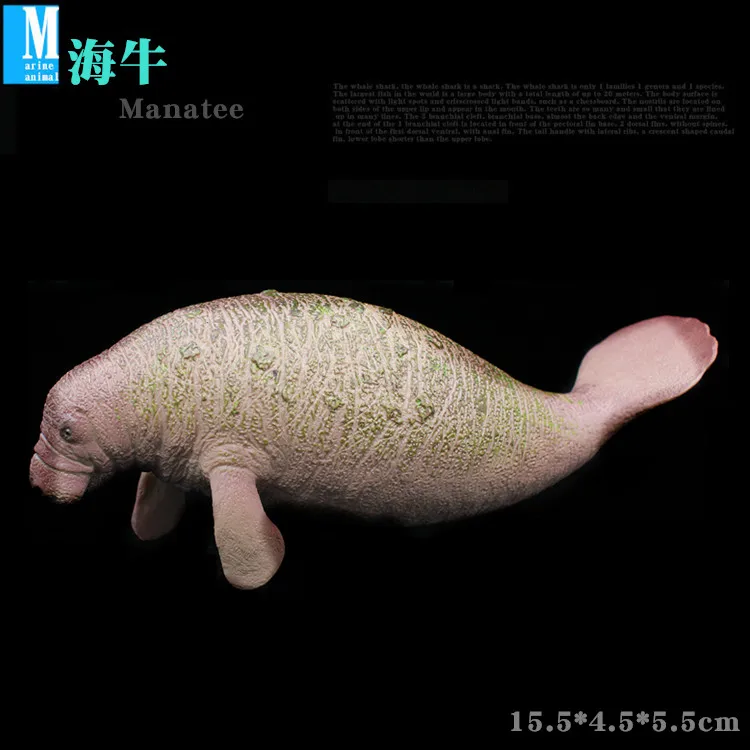 Модель морского организма Акула Модель синий кит белые животные черепахи Дельфин Пингвин Тигр акула игрушка унисекс дьявол