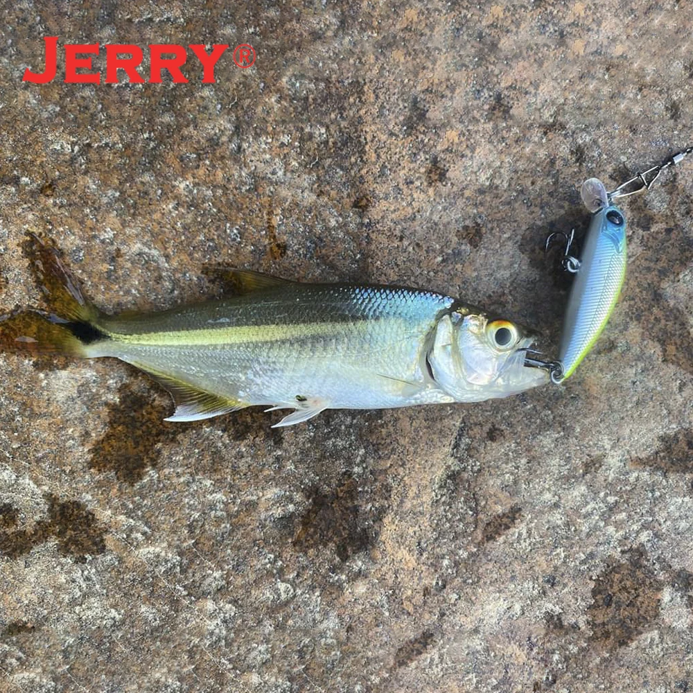 Jerry Elegance Slow Sinking Wobble Minnow Hard Baits Ultralight Saltwater Plug Lures 4cm 5cm UV Coating Fishing Tackle