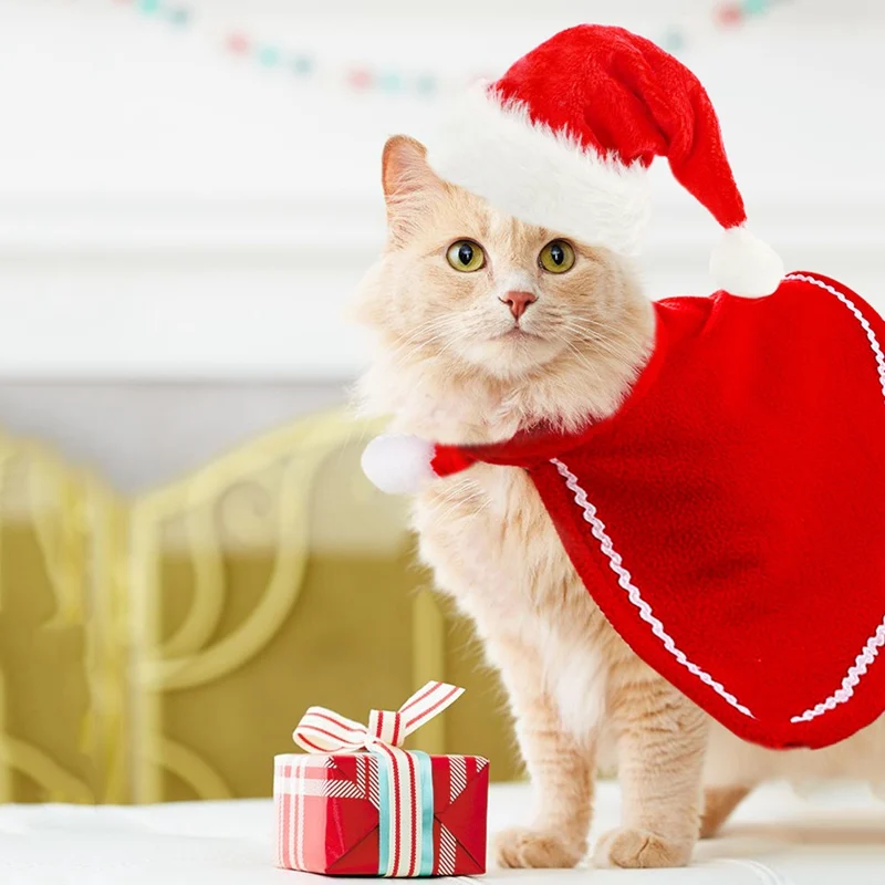 Рождественская шляпа для животных, шапка Санта-Клауса для кошек, собак, щенков, Рождественский Декор для дома для домашних животных на год, Рождественский костюм Navidad Noel