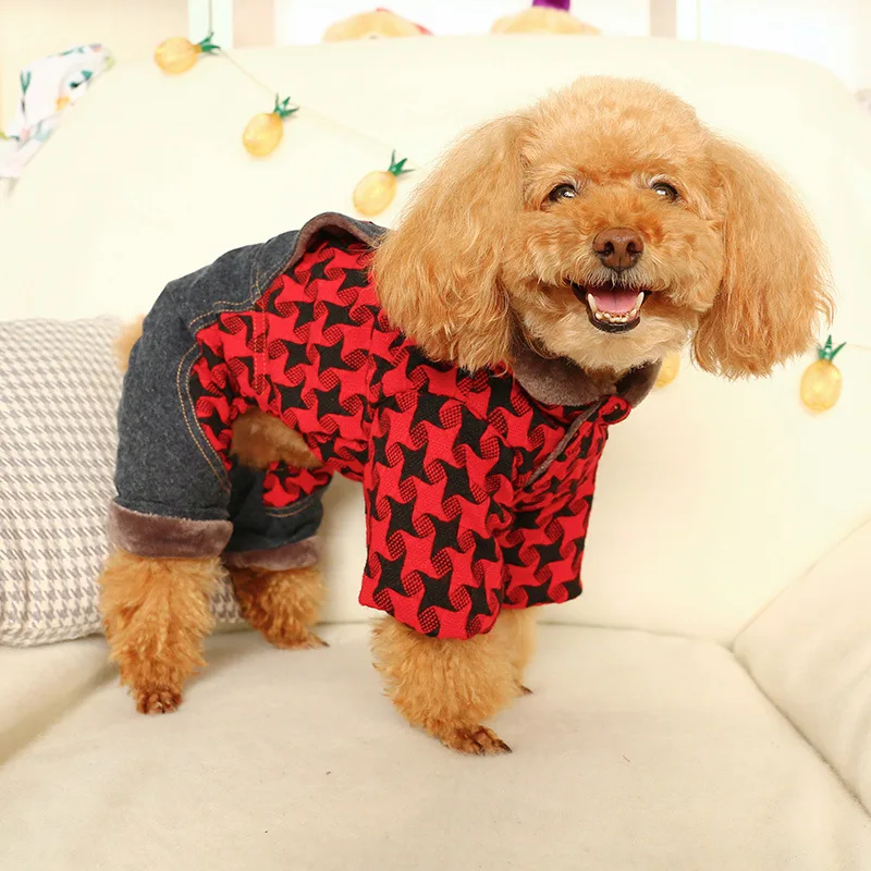 11597376979_1853267267