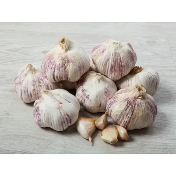 

5 kg. Garlic red-violet-pick Gourmet