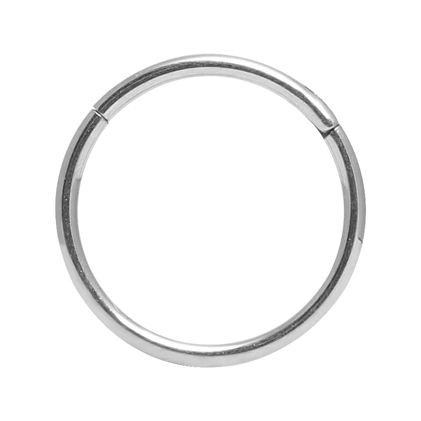 Silver Hypoallergenic Nose Rings 20G 18G 16G 14G 12G 10G 8G 316l Surgical Steel Hinged Segment Ring Body Piercing Jewelry Earrings - Metal color: Silver