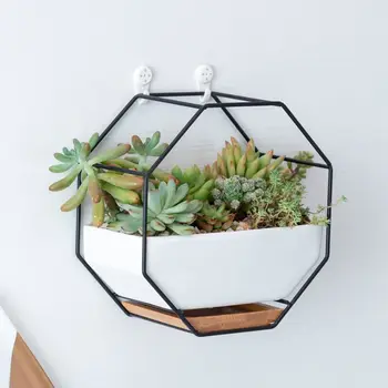 

Pots on The Wall Ceramic Maceta Hanging Planter Succulent Plants Flower Pots for Orchids Air Plant Holder Indoor Pots for Plants