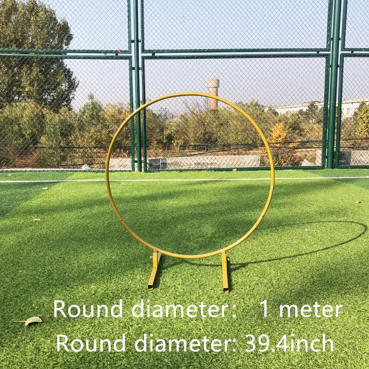 Искусственный Свадебный цветок Арка вечерние события круглый фон металлическое железное кольцо стенд Арка ребенок душ цветы круг Арка Декор - Цвет: picture color