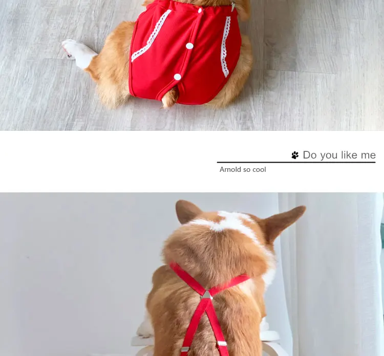 O1CN01Avitau1j8Q3sSUxXO_!!144304503