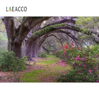 

Photo Backgrounds Spring Old Tree Blossom Flower Tassel Green Grass Park Scenic Photography Backdrops Photocall Photo Studio