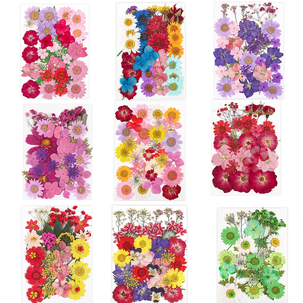 1 Pack Diy Dried Flowers Resin Mold Fillings Uv Expoxy Flower For Nail