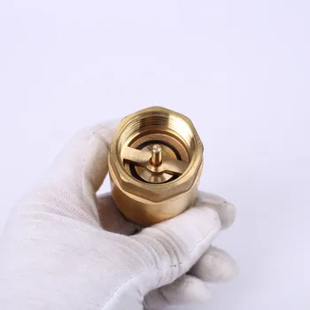 

Brass In-line Spring Check Valve Thread One Way Check Valve for Liquid Gas B88