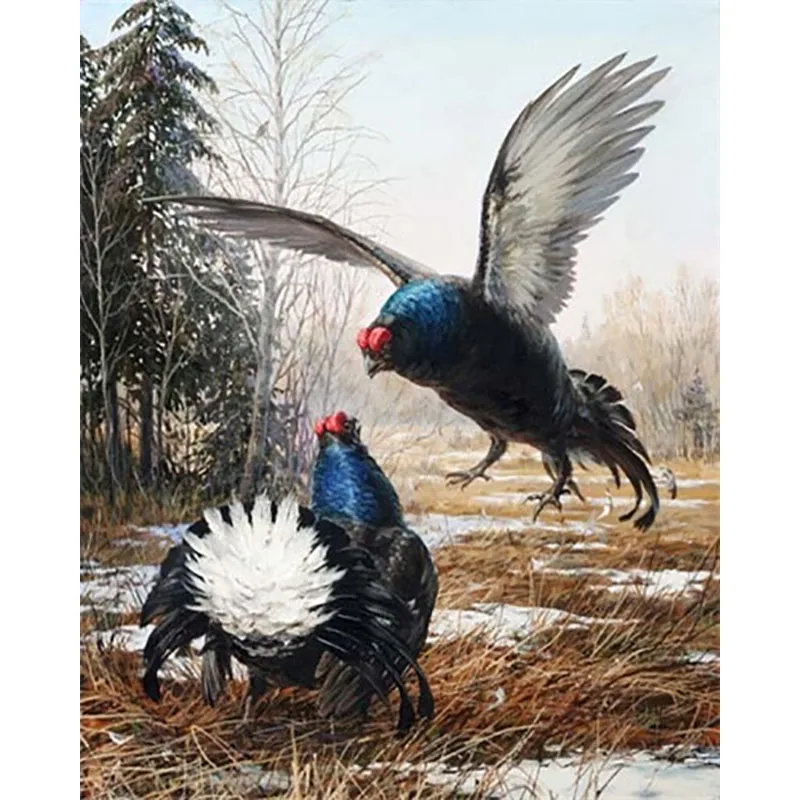 Петух Курица Петух картина Раскраска по номерам картины номера картины Pintar por Numeros oleo Peinture numero