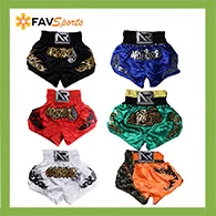 FAVSPORTS мужской женский светильник для бокса, быстросохнущие шорты с принтом, шорты для кикбоксинга, борьбы с тигром, Муай Тай, боксерские дышащие штаны