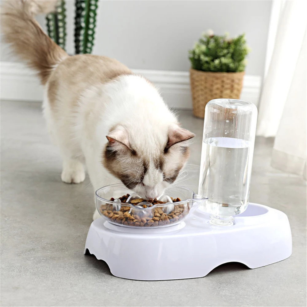 2 in 1 Cat Food Bowl Water Feeder Bowl Automatic Waterer Bottle Inclined Design Pet Cats Dogs