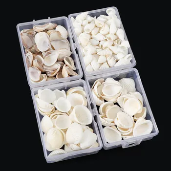 

About 28g/Box Natural Mix Shells Mini Conch Corn Screw Wall Decoration DIY Aquarium Landscape Seashells Crafts/Party Decor