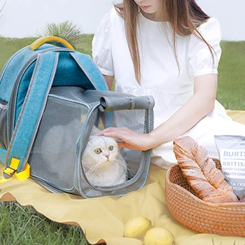 

New Foldable Transparent Mesh Window Cat Backpack with Inner Safety Leash Breathable