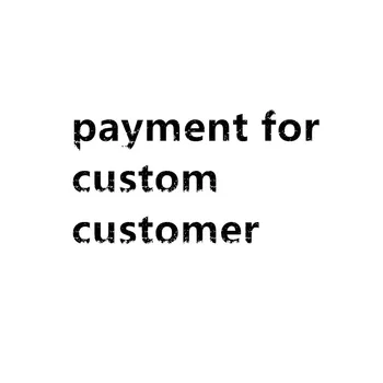 

Visisap Custom items For Valued Customers ---- Just for Payment Charge