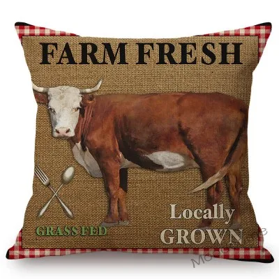 conew_n285 (3) 副本