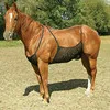 Horse Supplies Horse Belly Comfortable Breathable Anti-scratch Protection Net Protective Cover Anti Mosquito Bite Cover