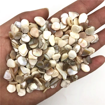 

Wholesale 100g Natural Tiny Shells Seashells Aquarium Gravel 7mm-9mm for Fish Tank Bowl Quartz Crystals Natural Stones