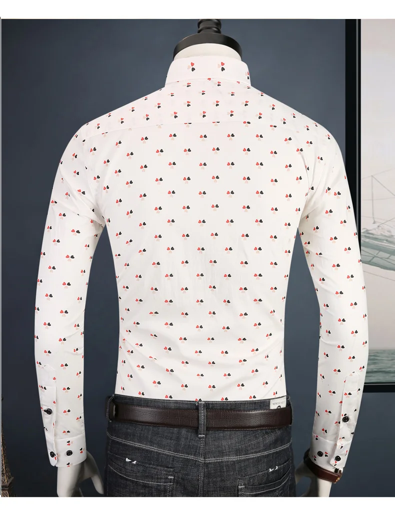 Caiziyijia/ г., весенне-осенняя повседневная одежда с набивным воротником Camisa Masculina, Мужская брендовая одежда Silm fit, платья с длинными рукавами, рубашки