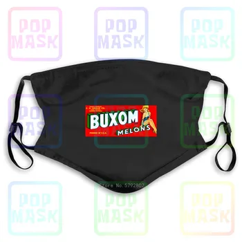 

Dust Mask with Filter Buxom Melons Crate Label - Pin Up Girl Washable Reusable Mask