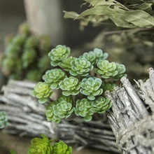 Новые 24 головок, искусственные суккулентные растения Лотос земля редкий пейзаж Цветочные растения DIY домашний сад свадебные украшения