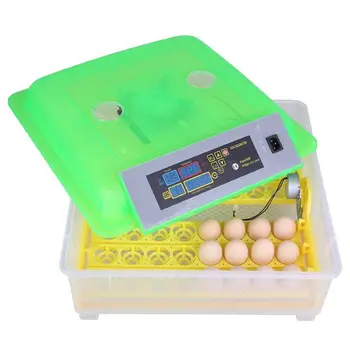 

48-Egg Practical Peep Hole Fully Automatic Poultry Incubator (US Standard)