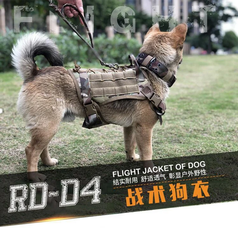 QQ截图20191223151131