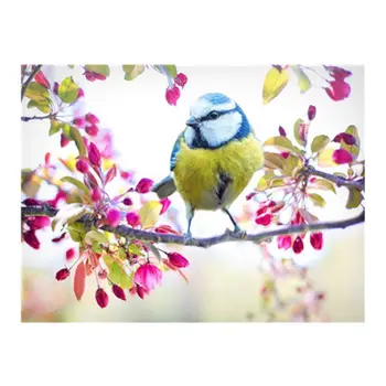 

Bird on Branch Digital Oil Painting By Numbers Canvas Wall Picture DIY Hand Painted No Frame Home Decor for Adults Beginner